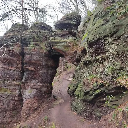 Eifelbrise Nideggen